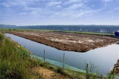 澳洲龍蝦養(yǎng)殖條件有哪些，養(yǎng)殖周期是多久？