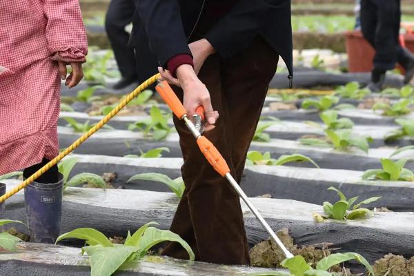 吡蟲(chóng)啉的用法與用量