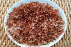 香椿種子多少錢一斤，什么時(shí)候種怎么種植？