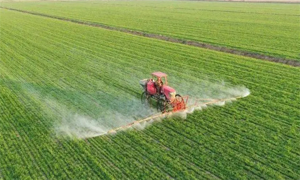 基本農田保護制度