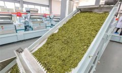 扁形名優(yōu)綠茶機(jī)械加工的具體方法是什么？
