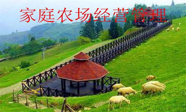 家庭農場管理