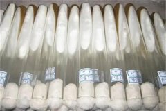 什么是食用菌膠囊菌種，接種操作要點(diǎn)有哪些？