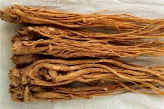 當(dāng)歸的主要產(chǎn)地是哪里？當(dāng)歸的作用和功效簡介