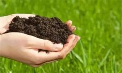 生物有機肥的功效與作用有哪些？