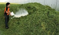 如何制作青貯飼料？