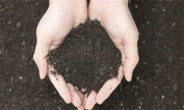 以有機(jī)肥為主，無(wú)機(jī)肥為輔