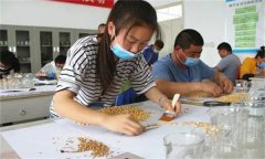 農(nóng)作物的種子質(zhì)量檢驗(yàn)包括哪些內(nèi)容？