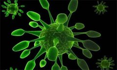 鴨白色念珠菌感染癥狀有哪些 怎么治療？