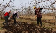 合理施肥的基本原理是什么？