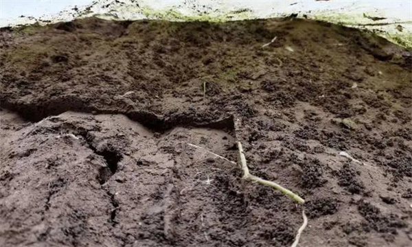 土壤的團粒結構