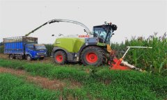 玉米青貯機械作業(yè)安全技術(shù)要求有哪些？