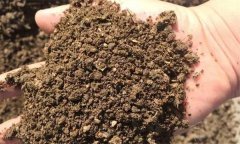 什么是土壤質(zhì)地 按土壤質(zhì)地土壤分為幾種類型？