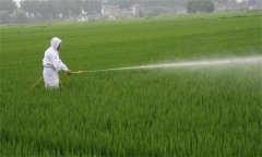 農(nóng)業(yè)生產(chǎn)上農(nóng)藥的使用方法有哪些？