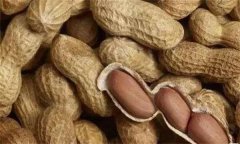 如何防止花生中黃曲霉毒素的危害？