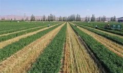 什么是輪作？輪作的作用有哪些？