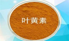 什么是葉黃素？哪些蔬菜富含葉黃素？