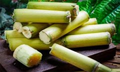 如何選購(gòu)、儲(chǔ)存甘蔗？食用甘蔗應(yīng)注意事項(xiàng)