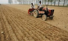 小麥的主要生產(chǎn)管理技術(shù)有哪些？