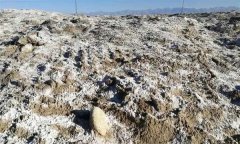 耕地土壤鹽堿化的原因及防控措施有哪些？