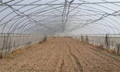 棚室土壤污染物的來源和消除途徑有哪些？