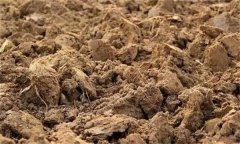 土壤肥力失衡、土壤質(zhì)量下降、土壤酸化怎么辦