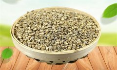 菠菜生長發(fā)育的過程是怎樣的？