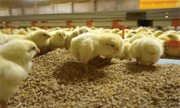 溫、濕度管理