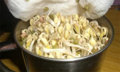 生產(chǎn)綠豆芽苗菜如何進(jìn)行沖淋水？